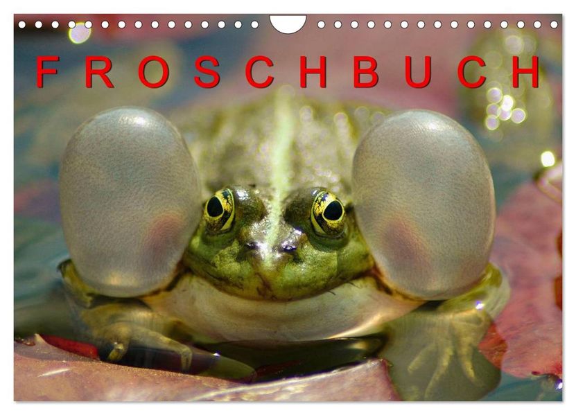 FROSCHBUCH (Wandkalender 2026 DIN A4 quer) CALVENDO Monatskalender