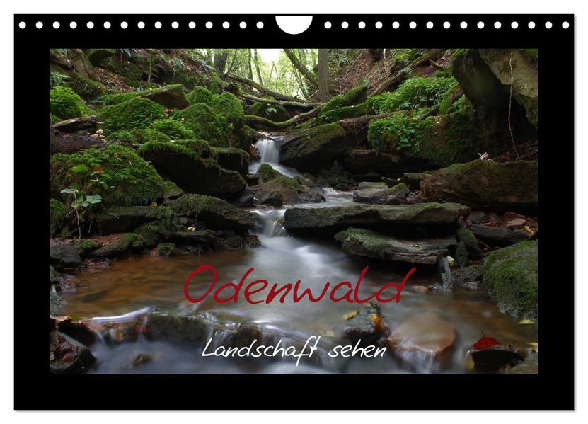 Odenwald - Landschaft sehen (Wandkalender 2026 DIN A4 quer) CALVENDO Monatskalender