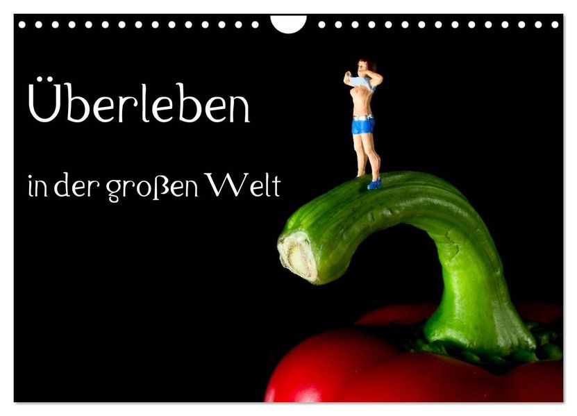 Überleben in der großen Welt - HO Figuren (Wandkalender 2026 DIN A4 quer) CALVENDO Monatskalender