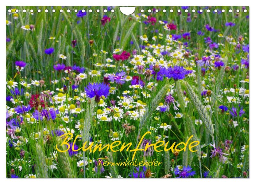Blumenfreude Schweizer Kalendarium (Wandkalender 2026 DIN A4 quer) CALVENDO Monatskalender