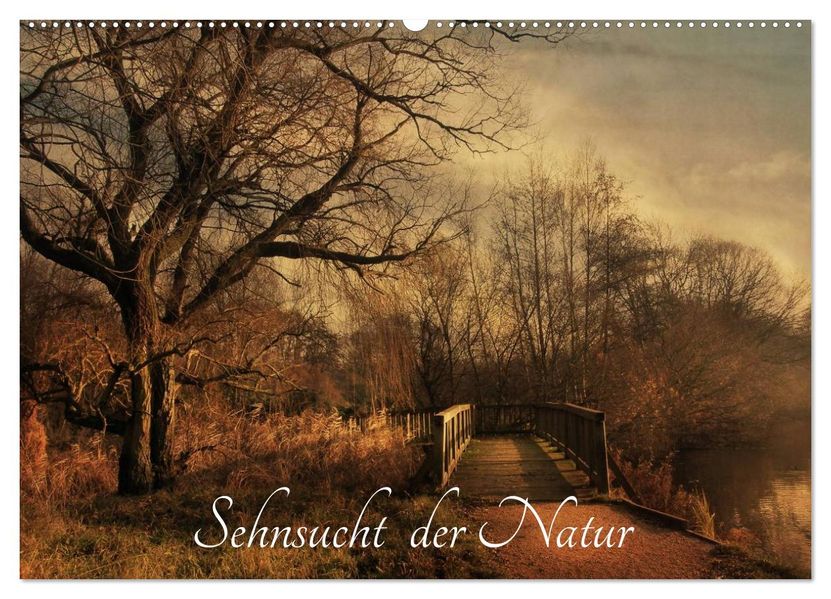 Sehnsucht der Natur (Wandkalender 2026 DIN A2 quer) CALVENDO Monatskalender