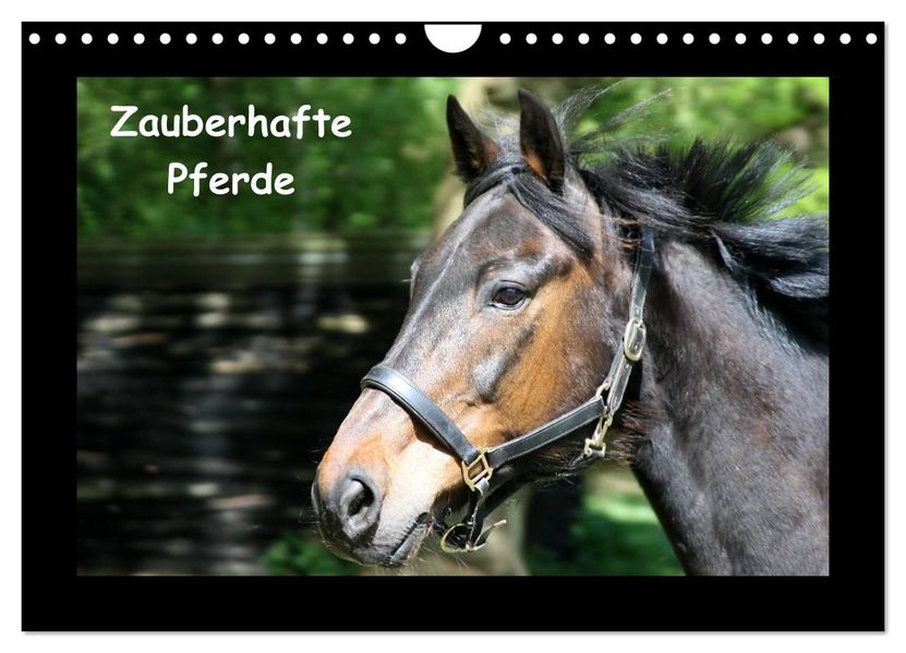 Zauberhafte Pferde (Wandkalender 2026 DIN A4 quer) CALVENDO Monatskalender