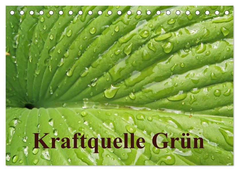 Kraftquelle Grün (Tischkalender 2026 DIN A5 quer) CALVENDO Monatskalender