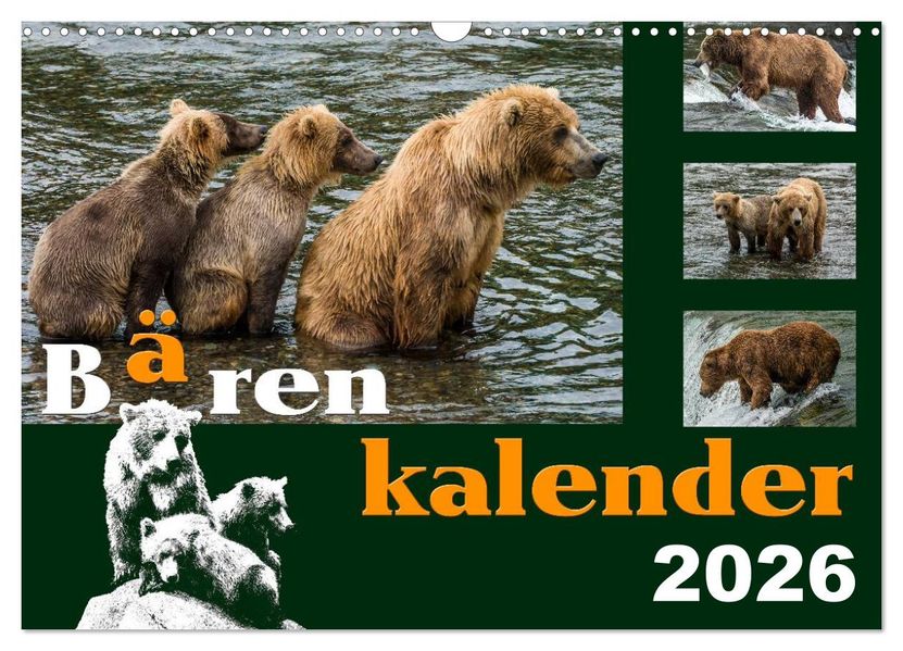Bärenkalender (Wandkalender 2026 DIN A3 quer) CALVENDO Monatskalender