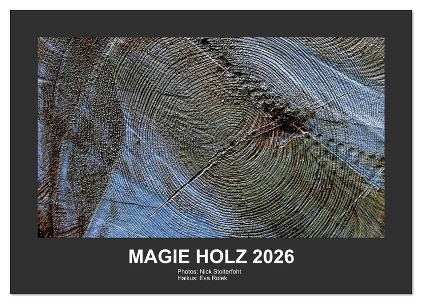 MAGIE HOLZ 2026 (Wandkalender 2026 DIN A4 quer) CALVENDO Monatskalender