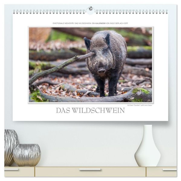 Emotionale Momente: Das Wildschwein. / CH-Version (hochwertiger Premium Wandkalender 2026 DIN A2 quer) Kunstdruck in Hochglanz