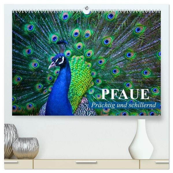 Pfaue. Prächtig und schillernd (hochwertiger Premium Wandkalender 2026 DIN A2 quer) Kunstdruck in Hochglanz