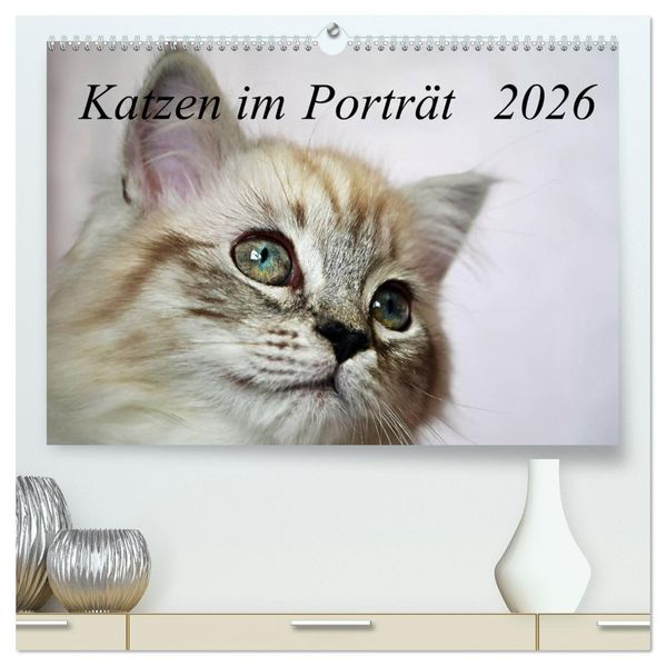 Katzen im Porträt / Geburtstagskalender (hochwertiger Premium Wandkalender 2026 DIN A2 quer) Kunstdruck in Hochglanz