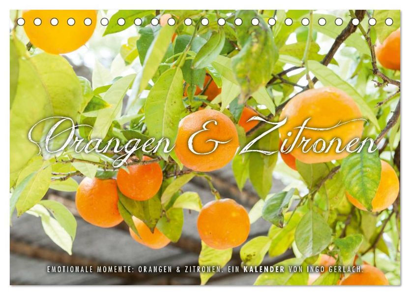 Emotionale Momente: Orangen & Zitronen. (Tischkalender 2026 DIN A5 quer) CALVENDO Monatskalender