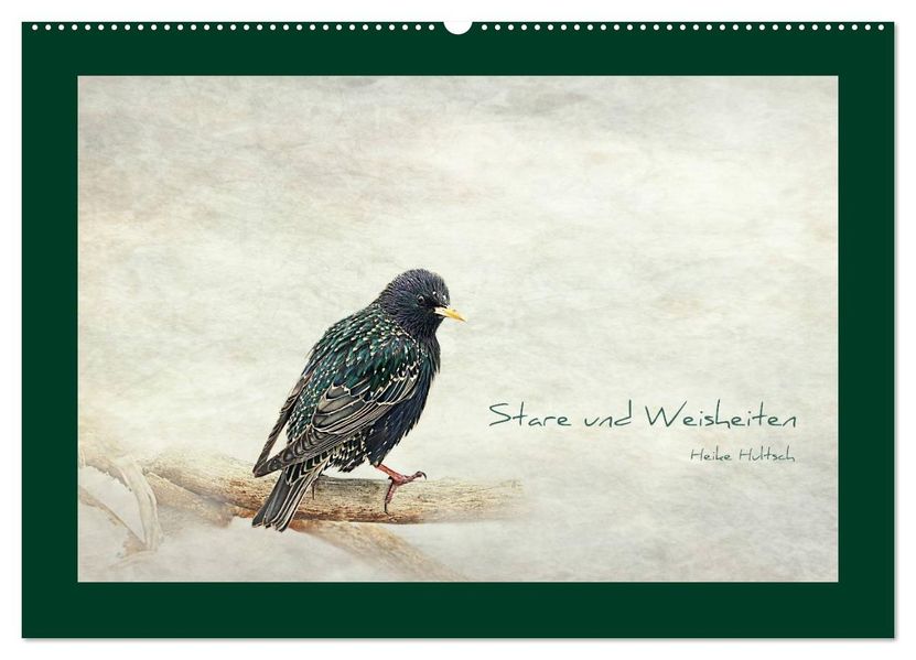 Stare und Weisheiten (Wandkalender 2026 DIN A2 quer) CALVENDO Monatskalender