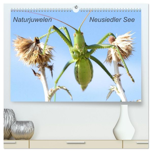 Naturjuwelen - Neusiedler See (hochwertiger Premium Wandkalender 2026 DIN A2 quer) Kunstdruck in Hochglanz