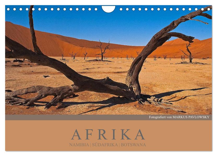 Afrika Impressionen. NAMIBIA - SÜDAFRIKA - BOTSWANA (Wandkalender 2026 DIN A4 quer) CALVENDO Monatskalender