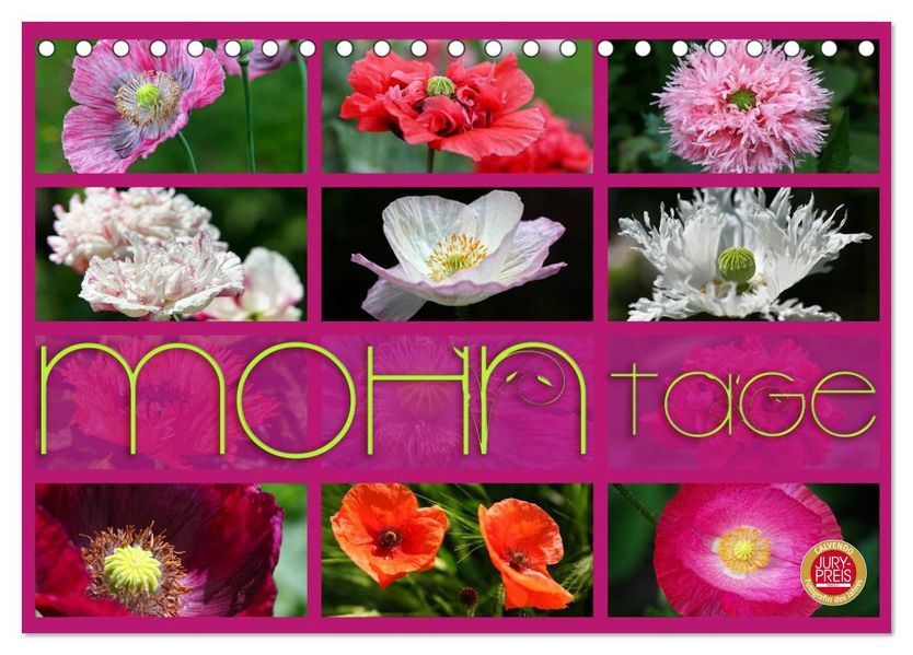 Mohn Tage (Tischkalender 2026 DIN A5 quer) CALVENDO Monatskalender