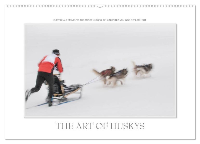 Emotionale Momente: The Art of Huskys. / CH-Version (Wandkalender 2026 DIN A2 quer) CALVENDO Monatskalender