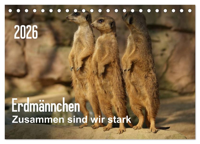 Erdmännchen - Zusammen sind wir stark (Tischkalender 2026 DIN A5 quer) CALVENDO Monatskalender
