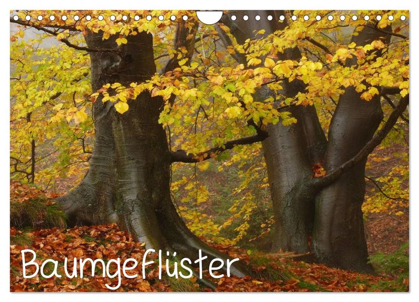 Baumgeflüster (Wandkalender 2026 DIN A4 quer) CALVENDO Monatskalender