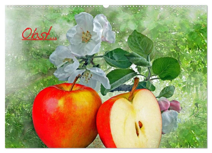 Obst (Wandkalender 2026 DIN A2 quer) CALVENDO Monatskalender