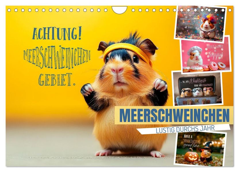 Meerschweinchen LUSTIG DURCHS JAHR (Wandkalender 2026 DIN A4 quer) CALVENDO Monatskalender