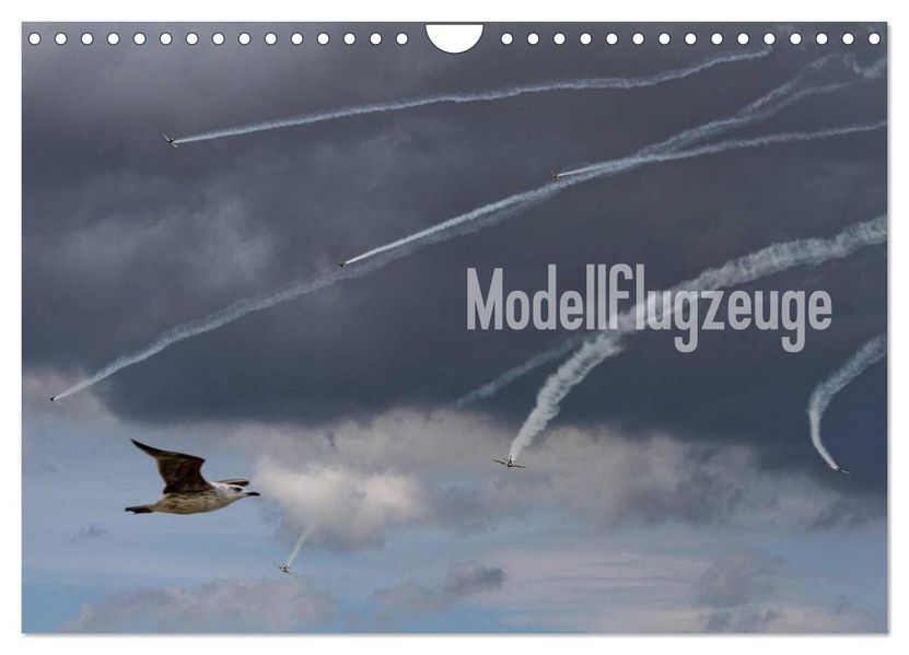 Modellflugzeuge Nr. 1 / 2026 (Wandkalender 2026 DIN A4 quer) CALVENDO Monatskalender