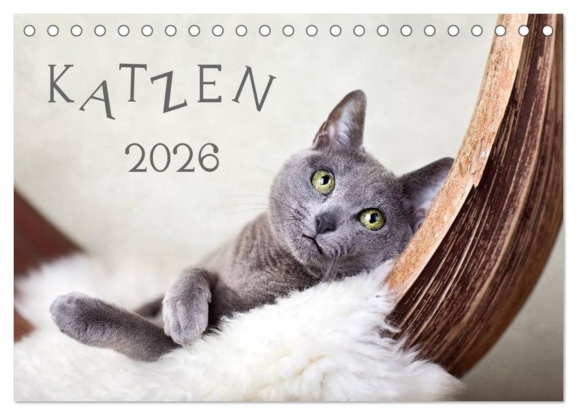 Katzen 2026 (Tischkalender 2026 DIN A5 quer) CALVENDO Monatskalender