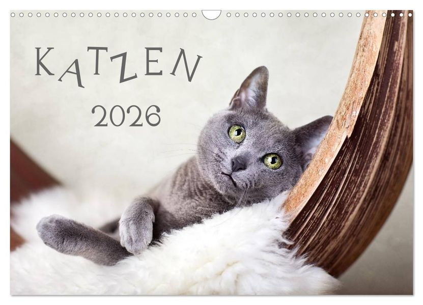 Katzen 2026 (Wandkalender 2026 DIN A3 quer) CALVENDO Monatskalender