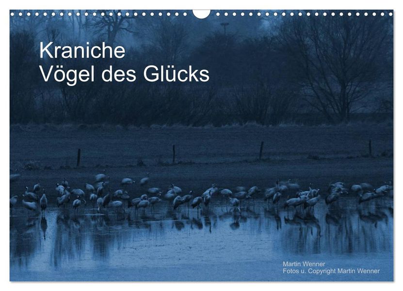 Kraniche (Wandkalender 2026 DIN A3 quer) CALVENDO Monatskalender