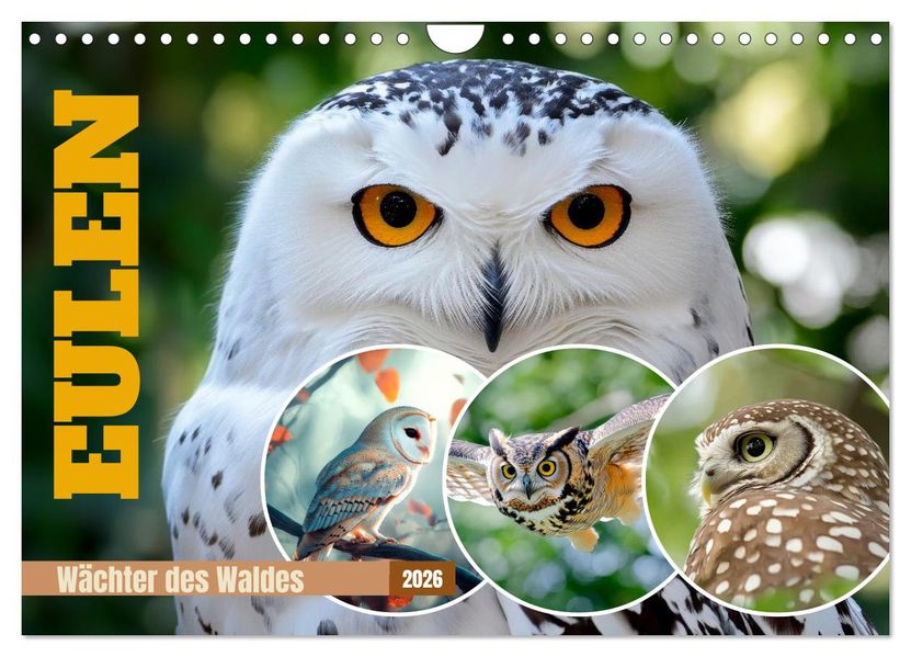 EULEN Wächter des Waldes (Wandkalender 2026 DIN A4 quer) CALVENDO Monatskalender