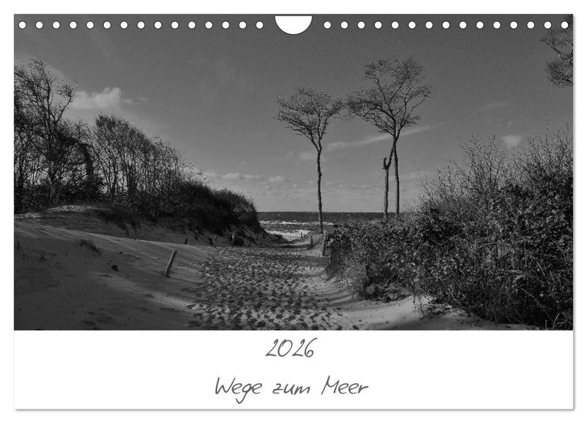 Wege zum Meer (Wandkalender 2026 DIN A4 quer) CALVENDO Monatskalender