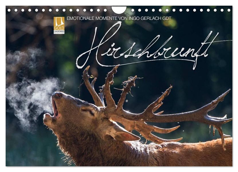 Emotionale Momente: Hirschbrunft (Wandkalender 2026 DIN A4 quer) CALVENDO Monatskalender