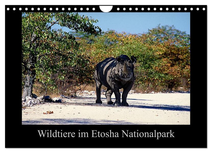 Wildtiere im Etosha Nationalpark (Wandkalender 2026 DIN A4 quer) CALVENDO Monatskalender