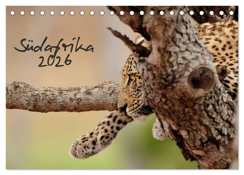 Südafrika (Tischkalender 2026 DIN A5 quer) CALVENDO Monatskalender