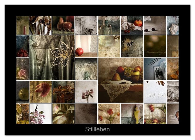 Stillleben (Wandkalender 2026 DIN A3 quer) CALVENDO Monatskalender