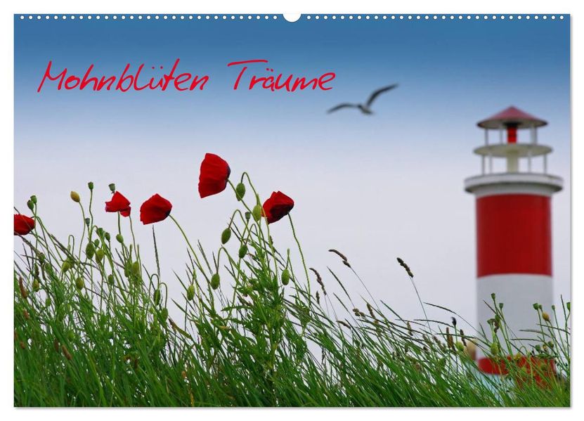 Mohnblumen Träume (Wandkalender 2026 DIN A2 quer) CALVENDO Monatskalender