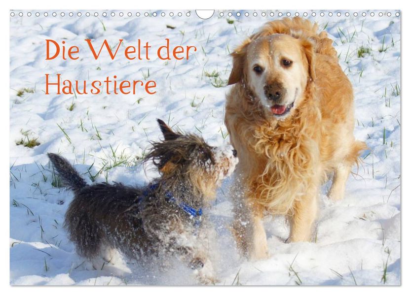Die Welt der Haustiere (Wandkalender 2026 DIN A3 quer) CALVENDO Monatskalender