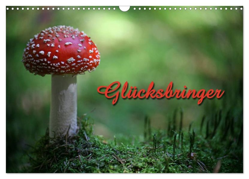 Glücksbringer (Wandkalender 2026 DIN A3 quer) CALVENDO Monatskalender
