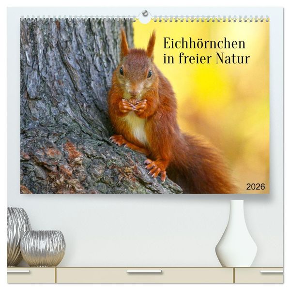 Eichhörnchen in freier Natur (hochwertiger Premium Wandkalender 2026 DIN A2 quer) Kunstdruck in Hochglanz
