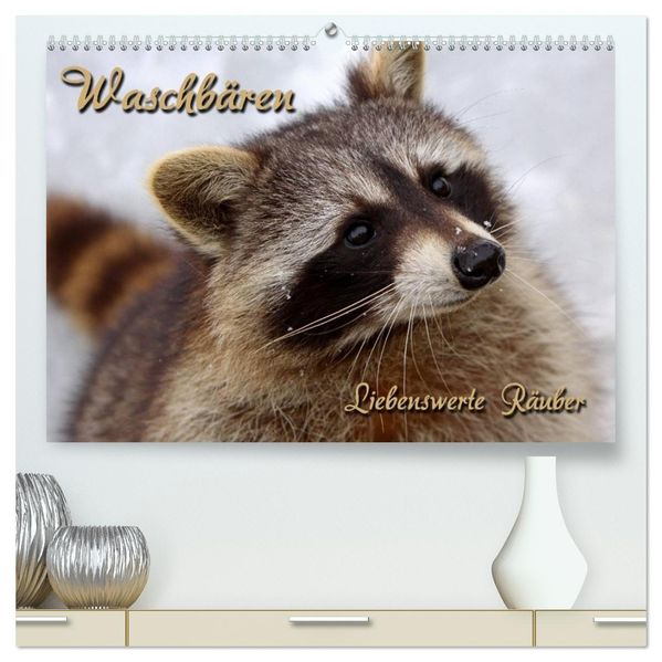 Waschbären (hochwertiger Premium Wandkalender 2026 DIN A2 quer) Kunstdruck in Hochglanz