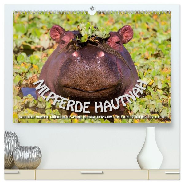 Emotionale Momente: Nilpferde hautnah (hochwertiger Premium Wandkalender 2026 DIN A2 quer) Kunstdruck in Hochglanz