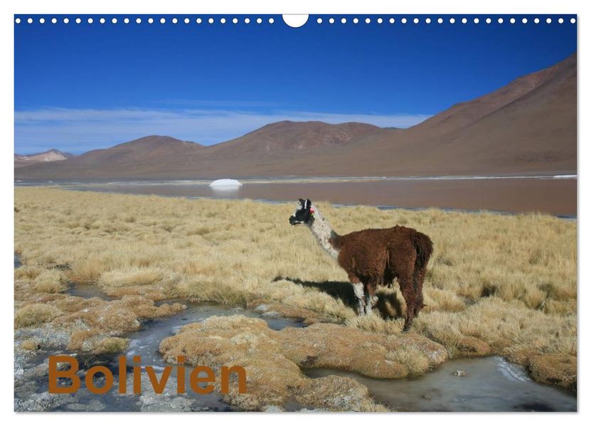 Bolivien (Wandkalender 2026 DIN A3 quer) CALVENDO Monatskalender