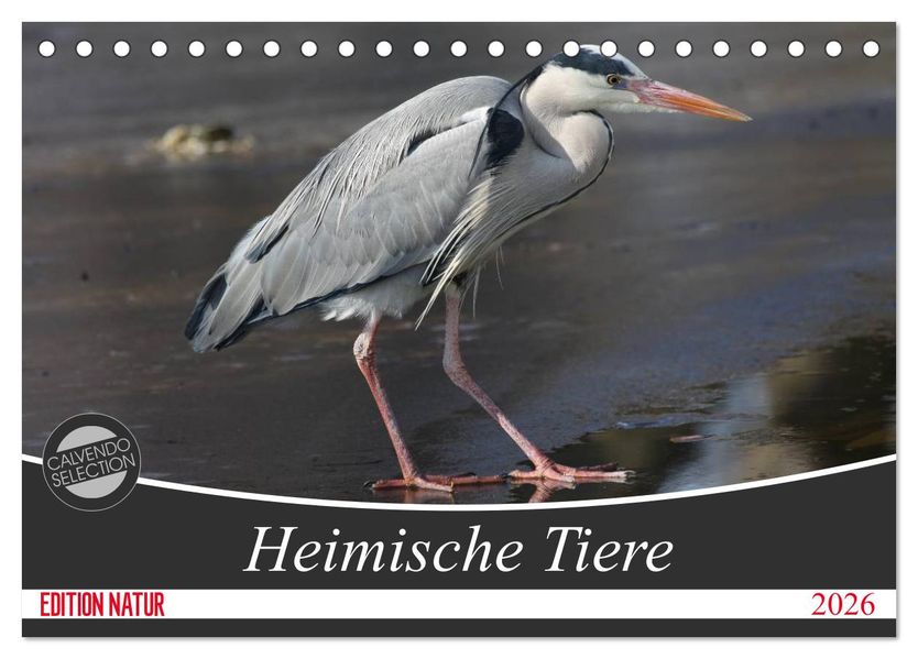 Heimische Tiere (Tischkalender 2026 DIN A5 quer) CALVENDO Monatskalender