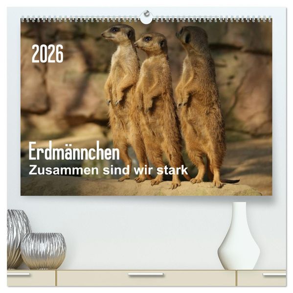 Erdmännchen - Zusammen sind wir stark (hochwertiger Premium Wandkalender 2026 DIN A2 quer) Kunstdruck in Hochglanz