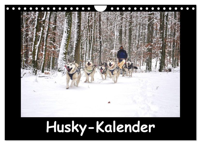 Husky-Kalender (Wandkalender 2026 DIN A4 quer) CALVENDO Monatskalender