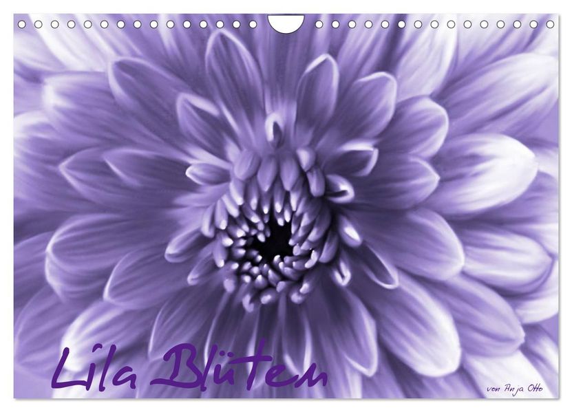 Lila Blüten (Wandkalender 2026 DIN A4 quer) CALVENDO Monatskalender