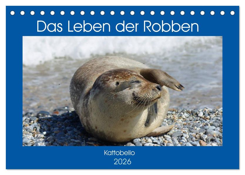 Das Leben der Robben (Tischkalender 2026 DIN A5 quer) CALVENDO Monatskalender
