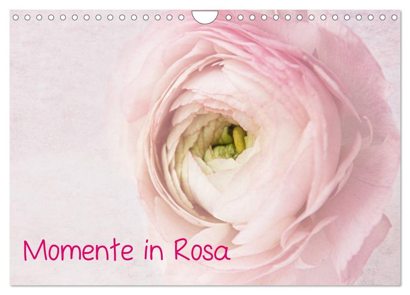 Momente in Rosa (Wandkalender 2026 DIN A4 quer) CALVENDO Monatskalender
