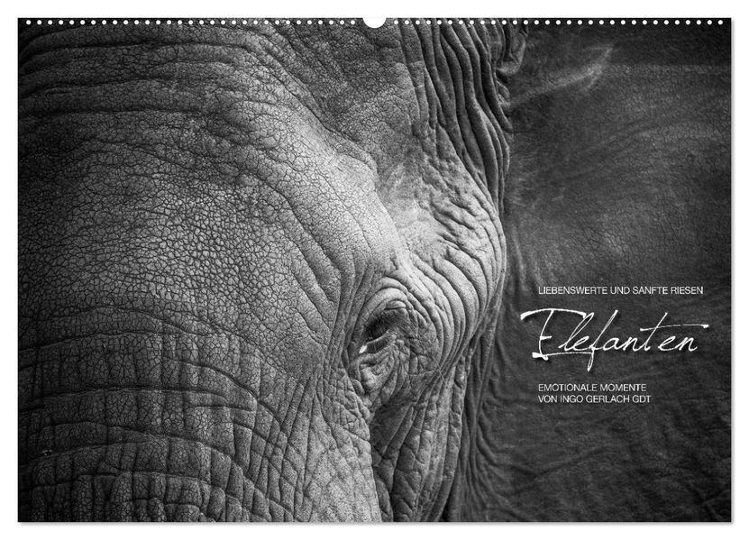 Emotionale Momente: Elefanten in black & white (Wandkalender 2026 DIN A2 quer) CALVENDO Monatskalender