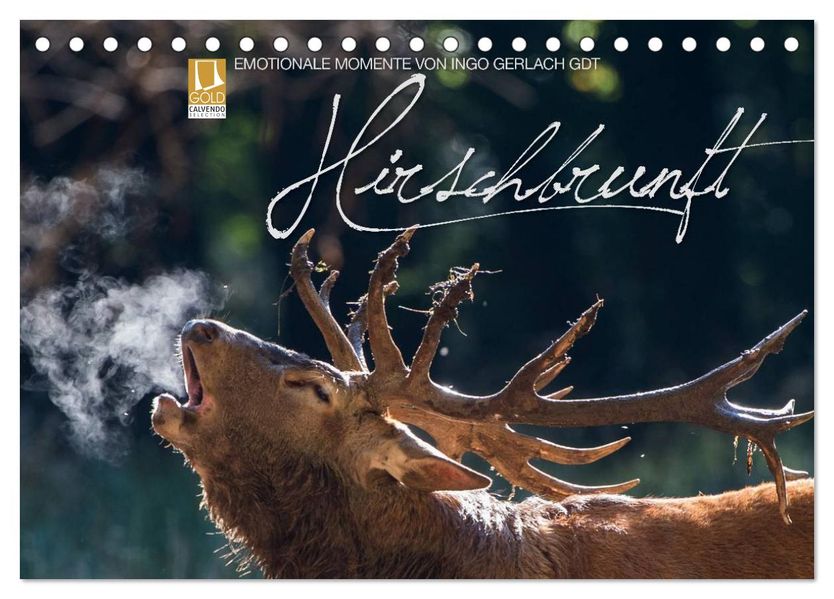 Emotionale Momente: Hirschbrunft (Tischkalender 2026 DIN A5 quer) CALVENDO Monatskalender