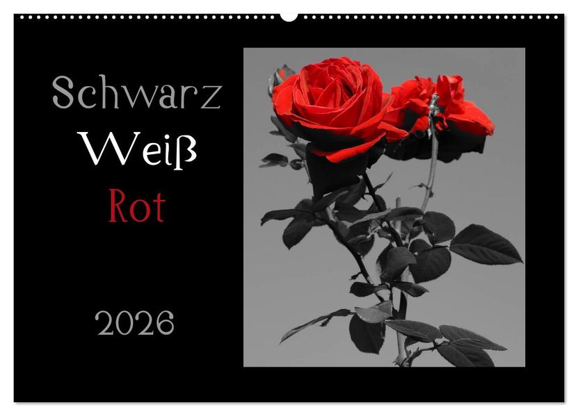 Schwarz-Weiß-Rot (Wandkalender 2026 DIN A2 quer) CALVENDO Monatskalender