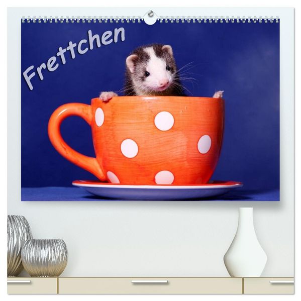 Frettchen - Ferrets (hochwertiger Premium Wandkalender 2026 DIN A2 quer) Kunstdruck in Hochglanz
