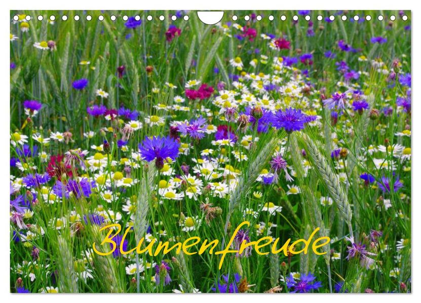 Blumenfreude (Wandkalender 2026 DIN A4 quer) CALVENDO Monatskalender